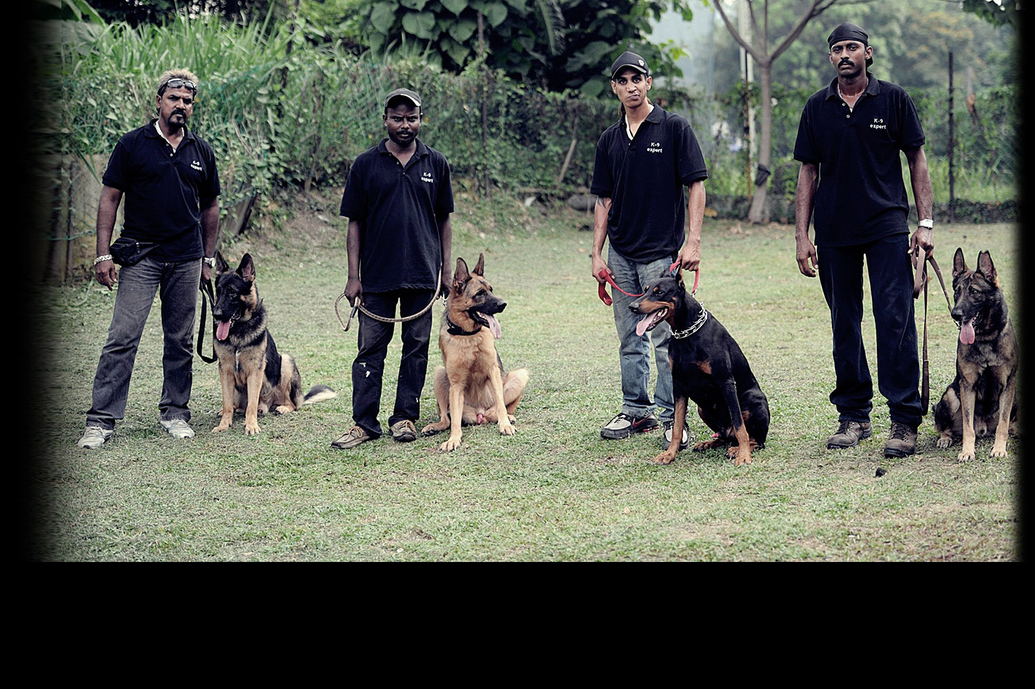 Dog Training Malaysia